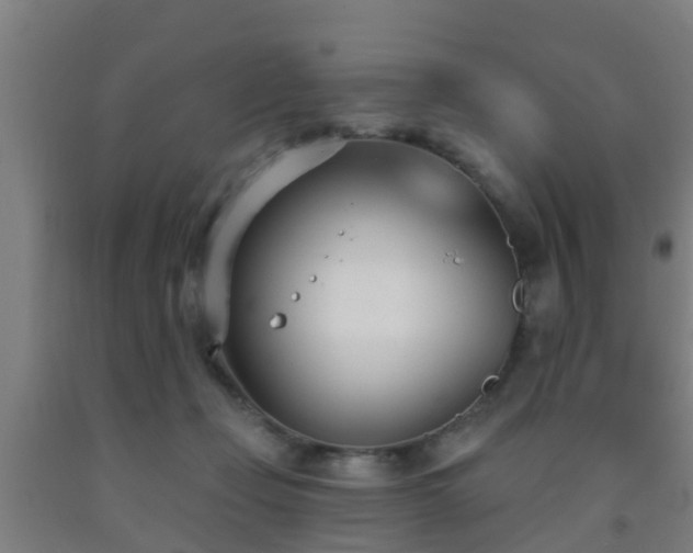 X0000093090365200709261234