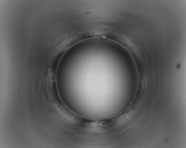 X0000093090366200709261234