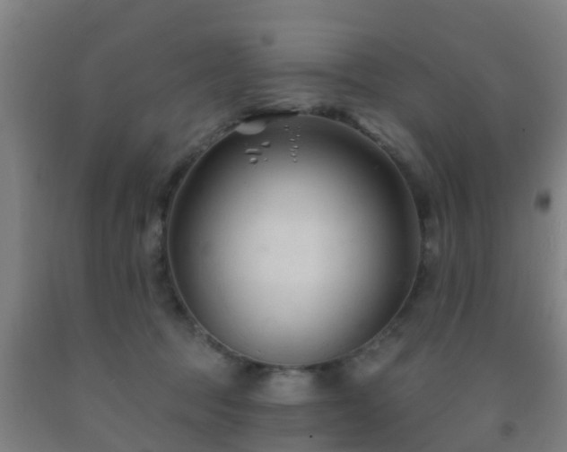 X0000093090369200709261234