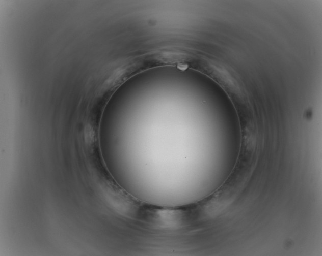 X0000093090371200709261234