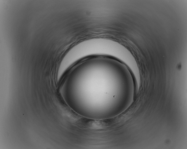 X0000093090372200709261234