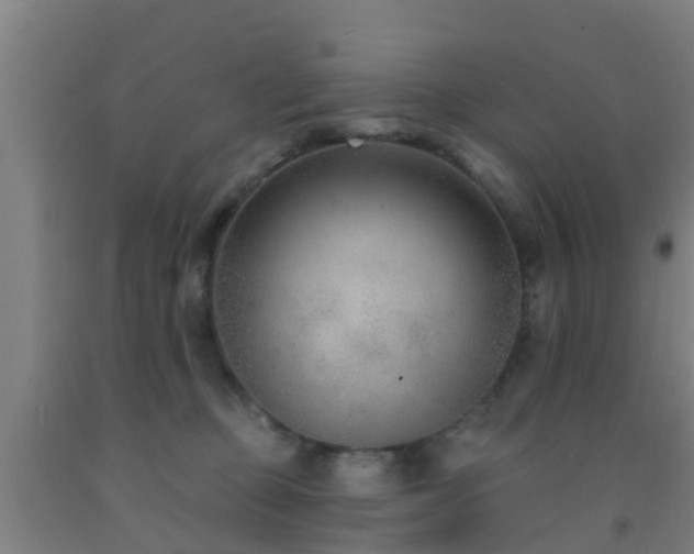 X0000093090373200709261234