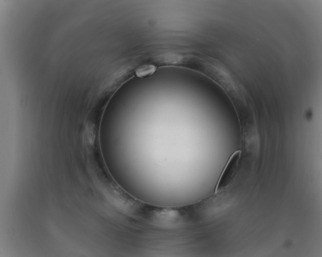 X0000093090374200709261234