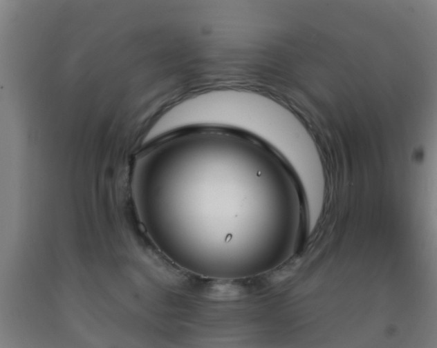 X0000093090376200709261234