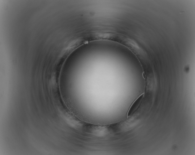X0000093090377200709261234