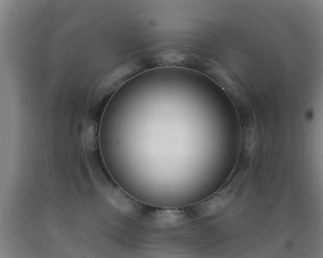 X0000093090378200709261234
