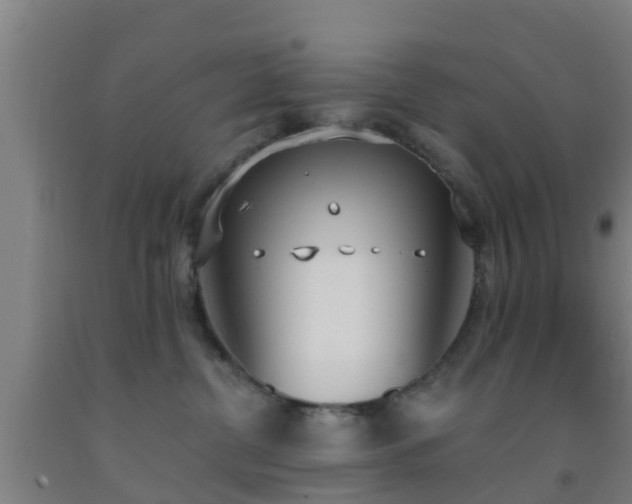 X0000093090380200709261234