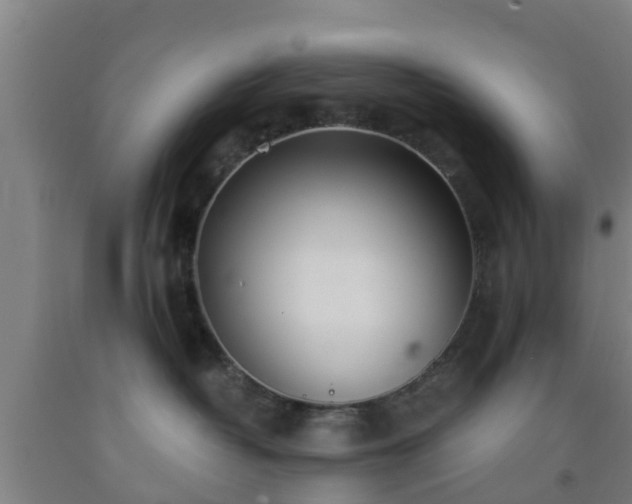 X0000093090382200709261234
