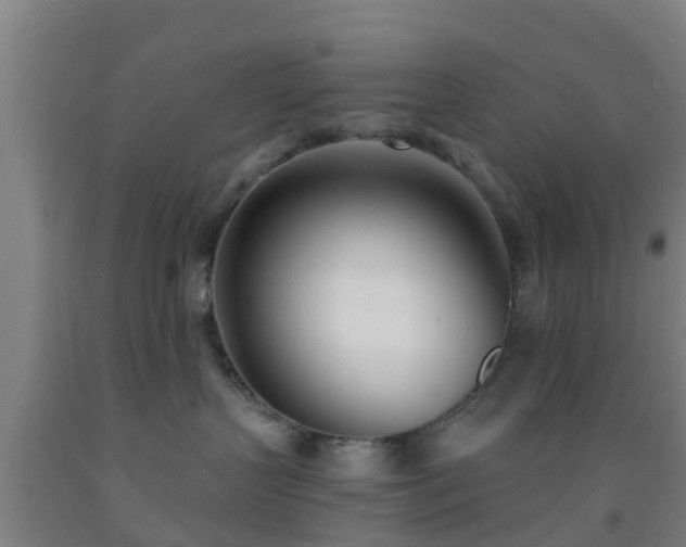 X0000093090383200709261234