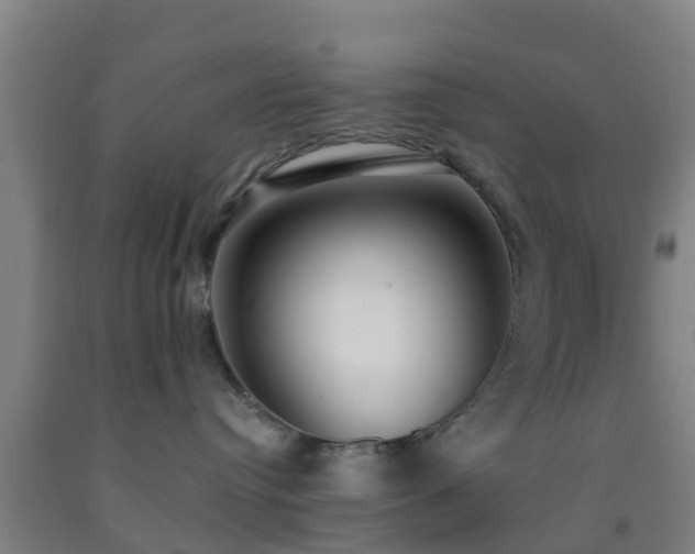 X0000093090384200709261234