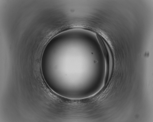 X0000093090385200709261233