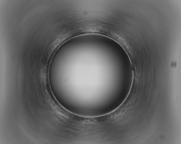 X0000093090386200709261233