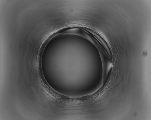 X0000093090387200709261233