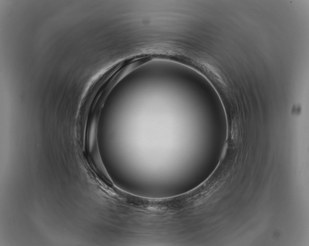 X0000093090388200709261233