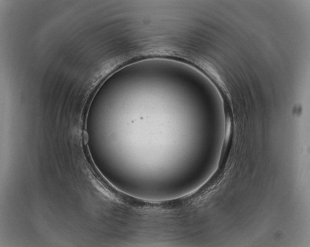 X0000093090389200709261233