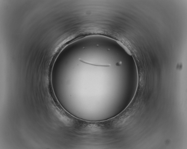 X0000093090390200709261233