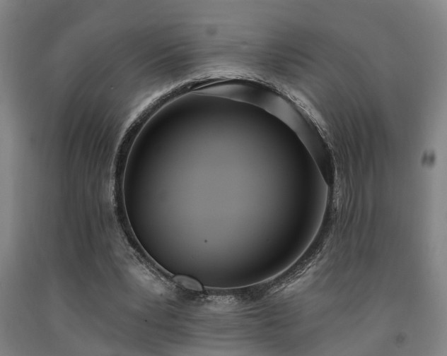 X0000093090391200709261233