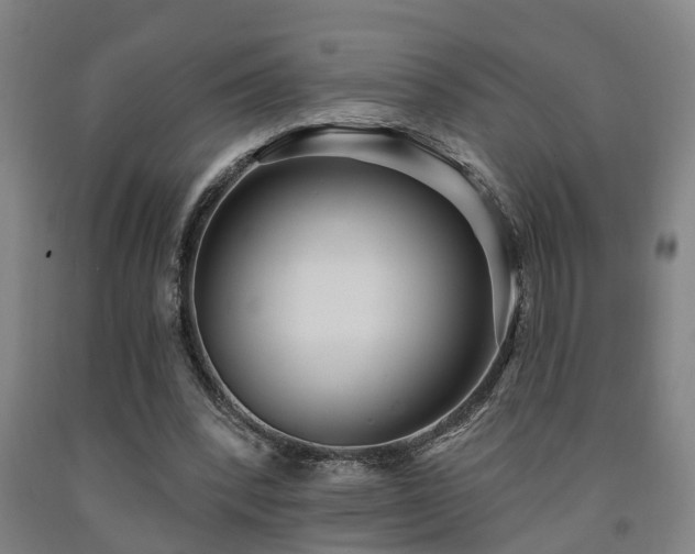 X0000093090392200709261233