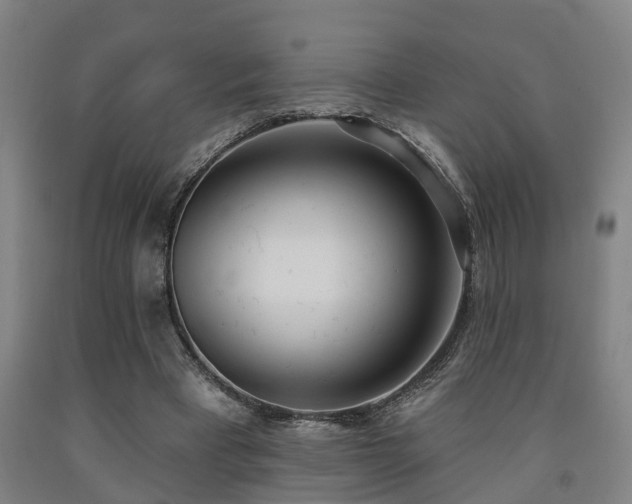 X0000093090393200709261233