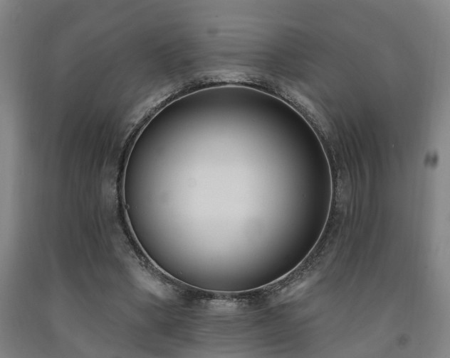X0000093090394200709261233