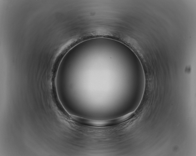 X0000093090395200709261233