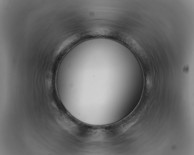 X0000093090396200709261233