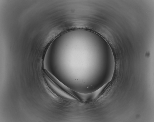 X0000093090397200709261233