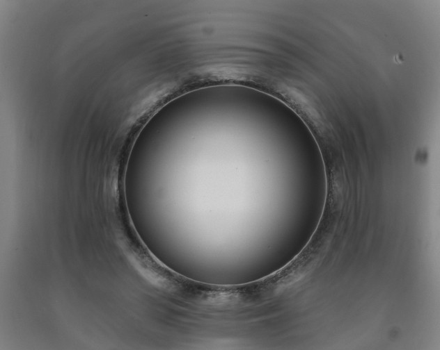 X0000093090398200709261233