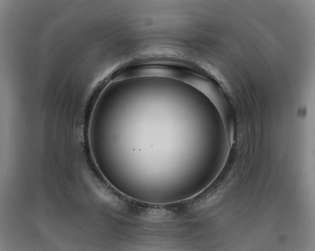X0000093090399200709261233