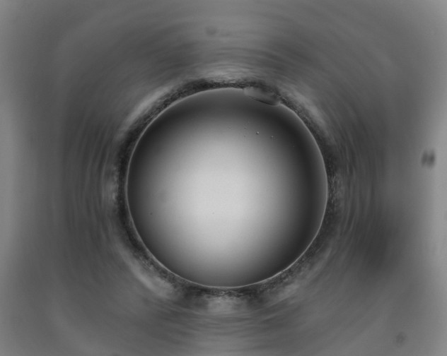 X0000093090400200709261233