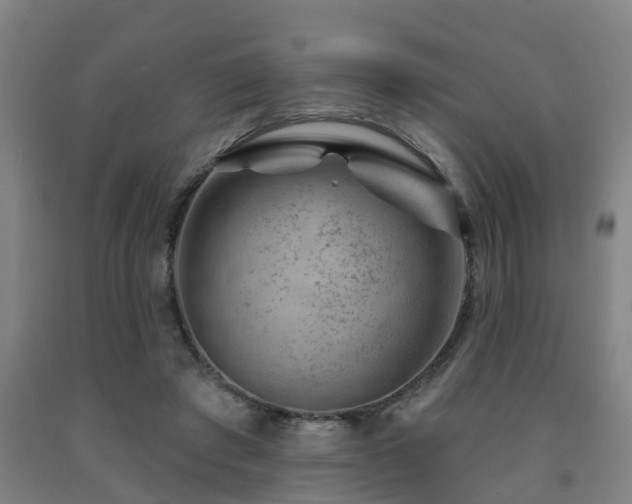 X0000093090401200709261233