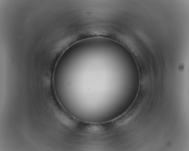 X0000093090402200709261233