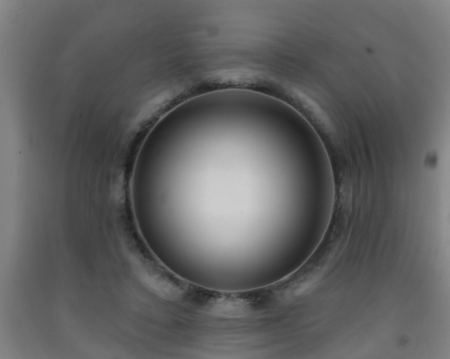 X0000093090403200709261233