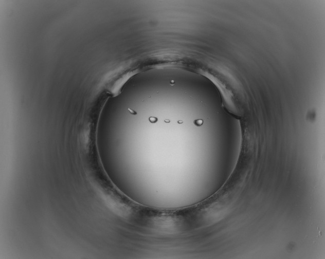 X0000093090404200709261233