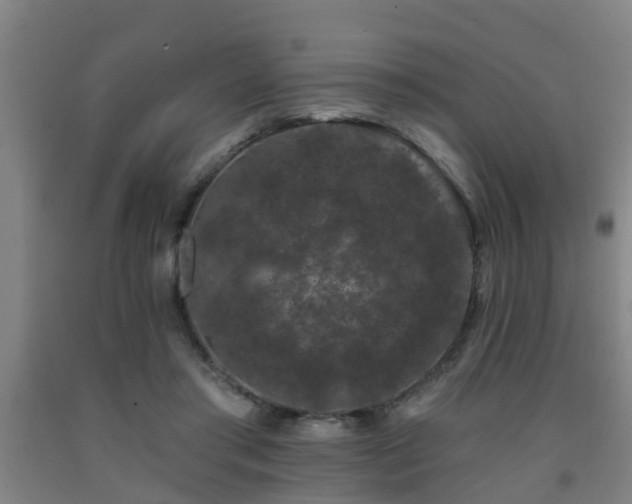 X0000093090405200709261233