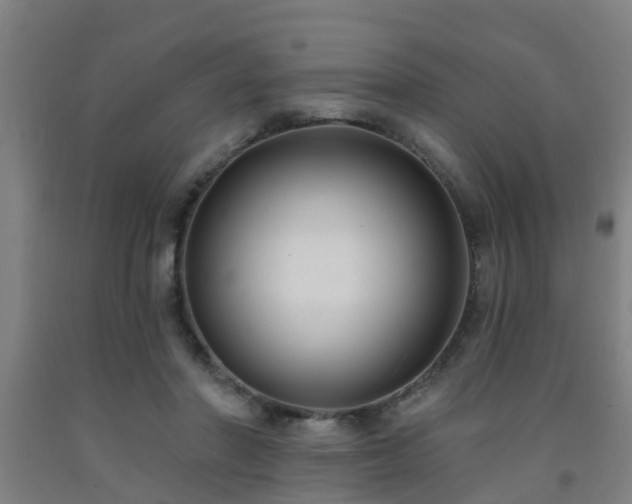 X0000093090406200709261233