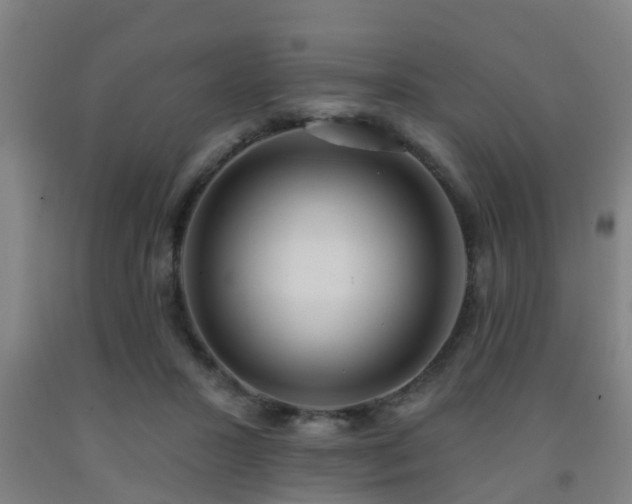 X0000093090407200709261233