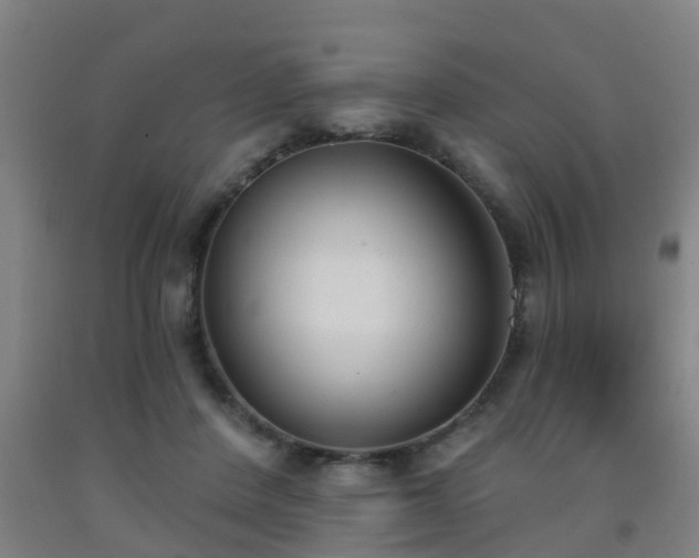 X0000093090408200709261233