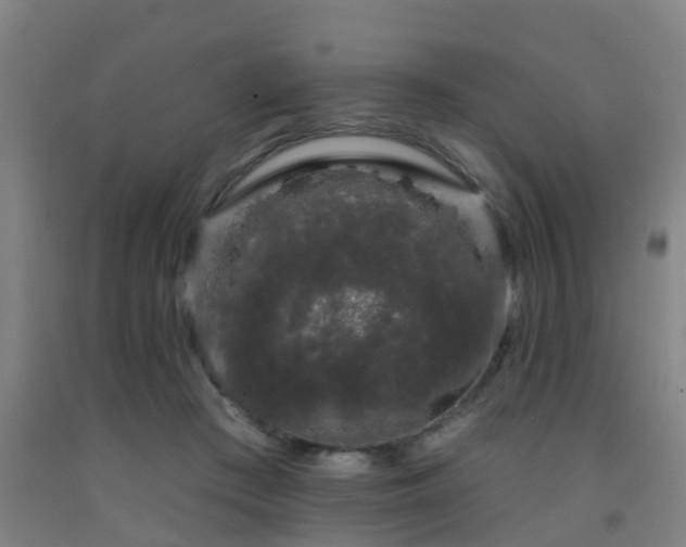 X0000093090409200709261233