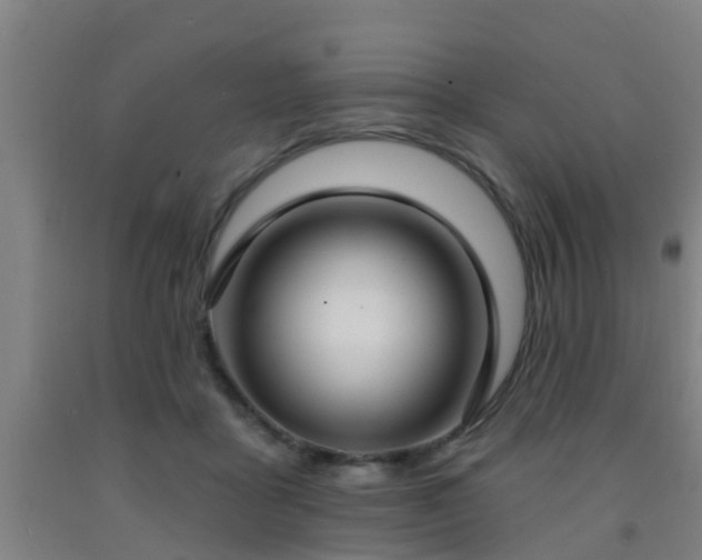 X0000093090411200709261233