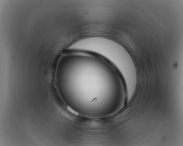 X0000093090412200709261233