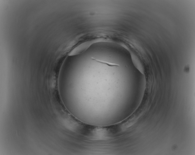 X0000093090413200709261233