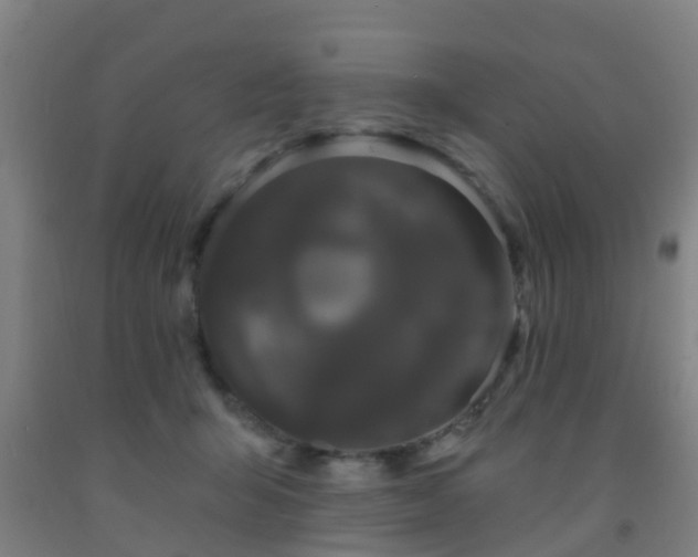 X0000093090415200709261233