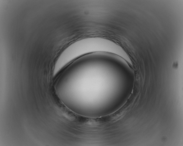 X0000093090416200709261233