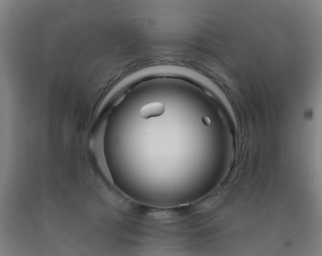 X0000093090417200709261233