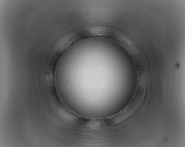 X0000093090418200709261233