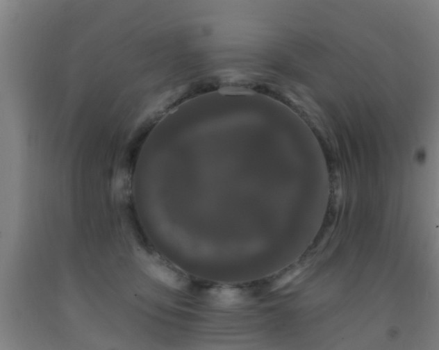 X0000093090419200709261233