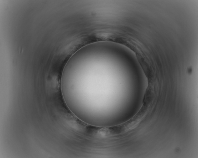 X0000093090420200709261233