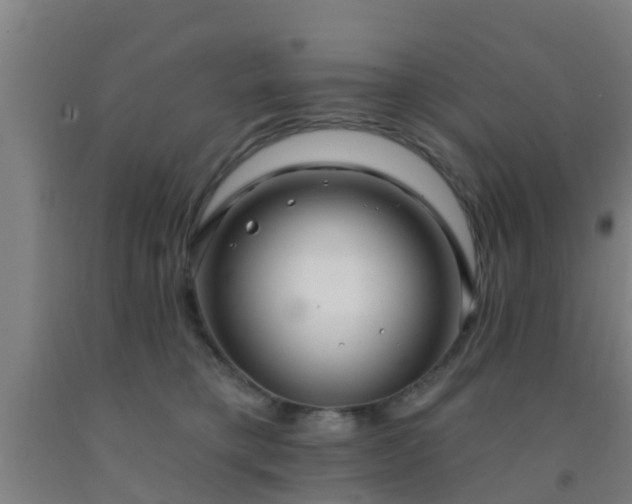 X0000093090421200709261233