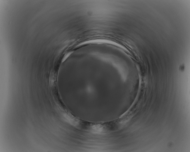X0000093090423200709261233